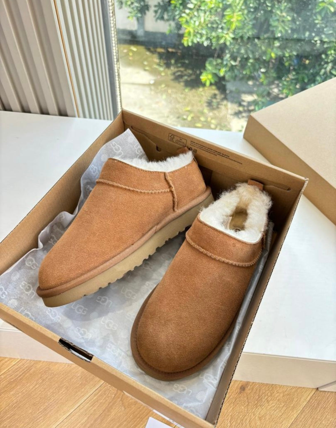 Chaussure UGG